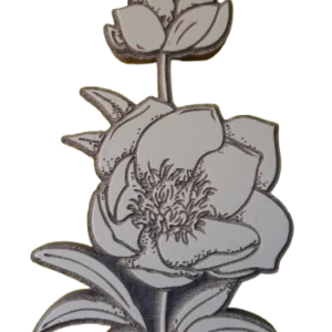 Sello decorativo flor